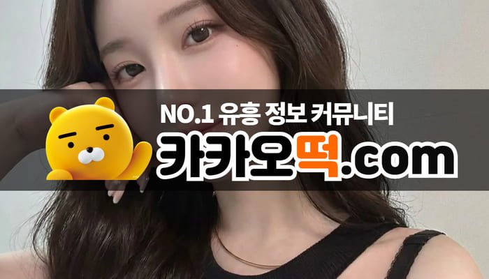 초보자 가이드